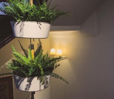 Hervas Apartment | La Antigua Fonda