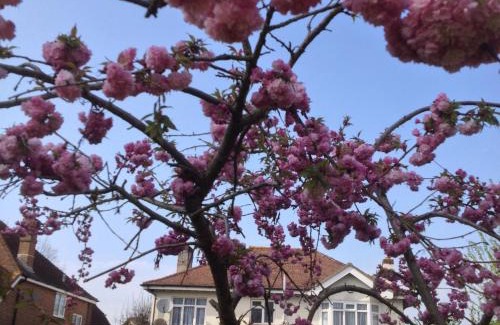 Chichester Bed & Breakfast | LA B&B