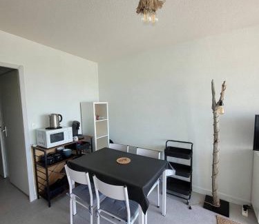 Mimizan-Plage Apartment | La baïne