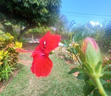 La Passe Apartment | La Banane Rouge Self Catering