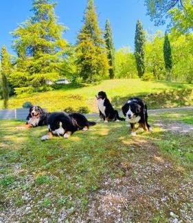 Larroque House | La bastide de Meilhouret