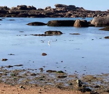 Perros-Guirec House | La Bernique blanche de Perros vue mer 4 personnes