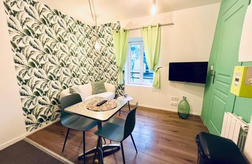 Centre Ancien Apartment | La Bonbonnière verte
