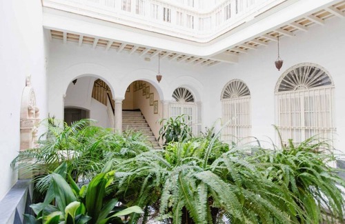 Old Town House | La Botanica Magnífica casa