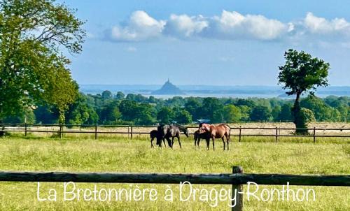 Dragey-Ronthon Bed & Breakfast | La Bretonniere