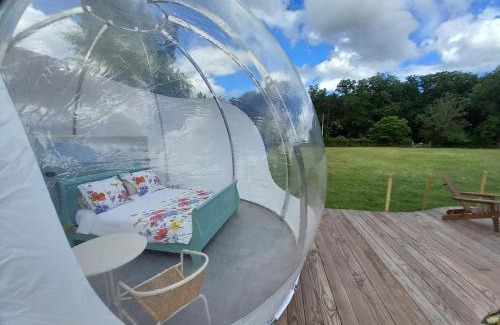 Herry Other | La Bulle des alpagas