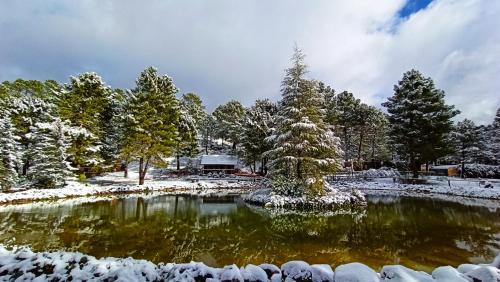 Riopar Ski Chalet | La cabaña del lago en ZAFIRO LAGUNAZO Parque Natural del Río Mundo