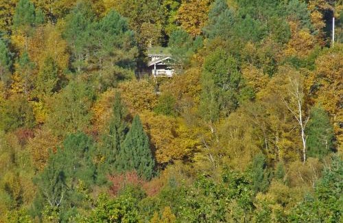 Saint-Martial de Gimel Apartment | La cabane de Hans
