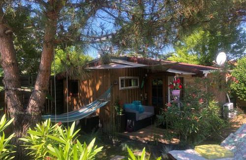 Le Teich Apartment | La cabane de Carol au coeur du bassin d'Arcachon