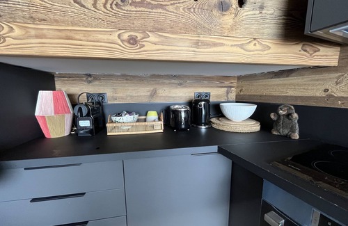 Viel-Alpe Apartment | La cabane de l'alpe Apartment refurbished in l'alpe d'huez