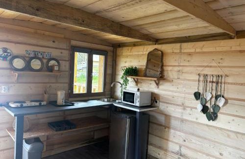 Corte Ski Chalet | La Cabane de Mercone CINTU
