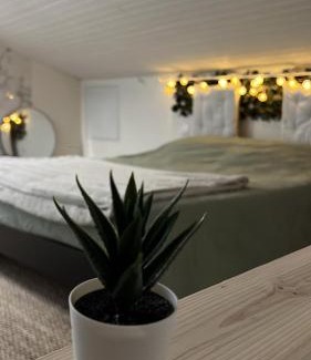 Mondonville Apartment | La Cabane Végétale