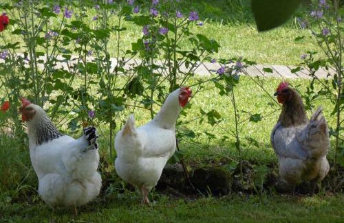 Saint-Seurin-de-Cadourne Bed & Breakfast | La Cadournaise
