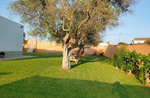 Conil de la Frontera Ski Chalet | La Caleta House. Beautiful garden with olive trees, drive minutes from the beach.