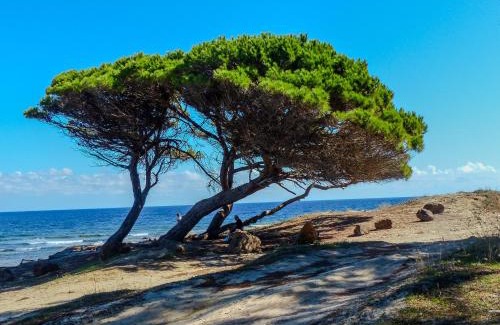 La Caletta Apartment | La Caletta Apartments - a 100 mt dal porto