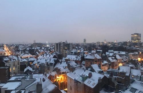 Ixelles House | La Cambre - Ensuite Room