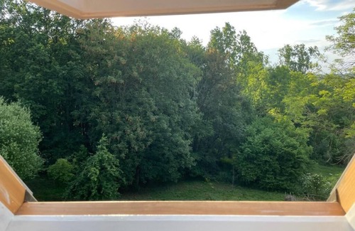 Ellezelles Apartment | La Canopée des Arbres Juliette! Relax and enjoy yourself at the edge of the forest!