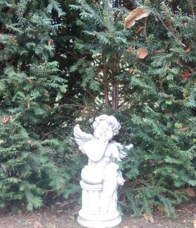 Guillestre Bed & Breakfast | La Carline