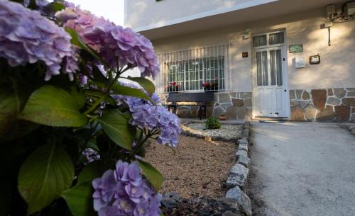 Lagostelle House | La casa de Angel y Olimpia