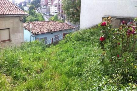 Tineo Apartment | La Casa de Antón