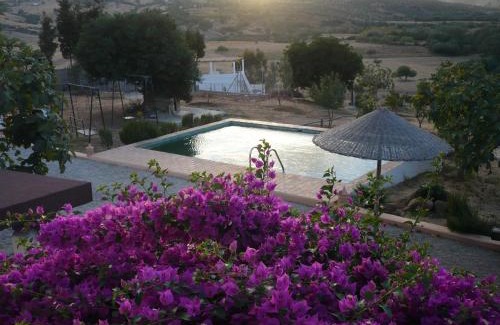 Souk Kdim Villa | La Casa de las Higueras Dar Karmus Tetouan