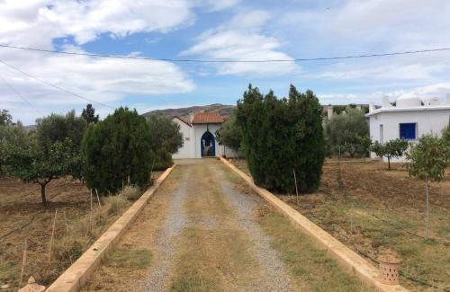 Souk Kdim Villa | La Casa de las Higueras Dar Karmus Tetouan