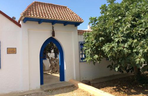Souk Kdim Villa | La Casa de las Higueras Dar Karmus Tetouan
