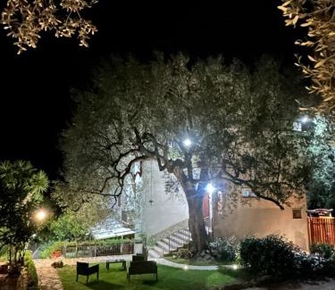 Marina di Pisciotta Apartment | La Casa del Maestro Attico