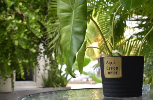 Isla Holbox Apartment | La casa del pescador Holbox
