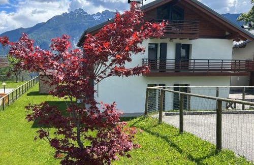 Pieve di Cadore Apartment | La Casa di Adele