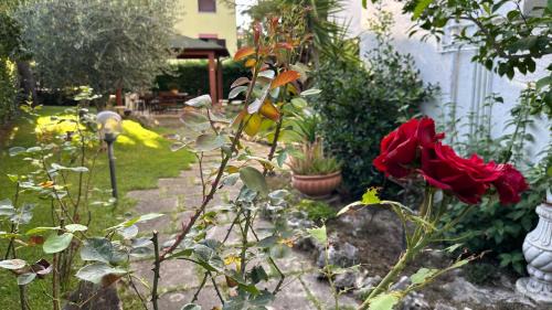 Caprafico Bed & Breakfast | La Casa di Gemma B&B
