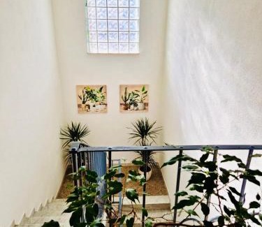 Olbia Apartment | La Casa di Gió in Centro