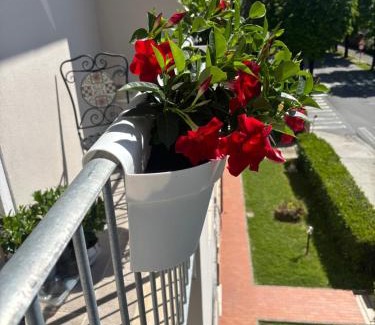 Pisa Apartment | La casa di Nana’