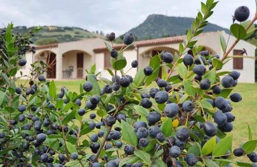 La Ciaccia Apartment | La Casa di Spinosella