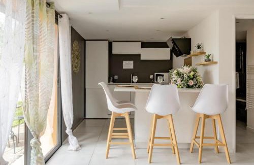 Irigny Apartment | La casa Irignoise