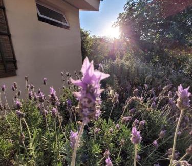 Arguello Apartment | La casita del colibri