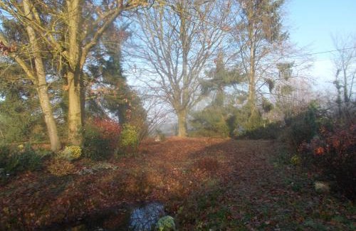 Romenay Bed & Breakfast | La Cassinette