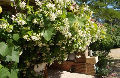 Romenay Bed & Breakfast | La Cassinette