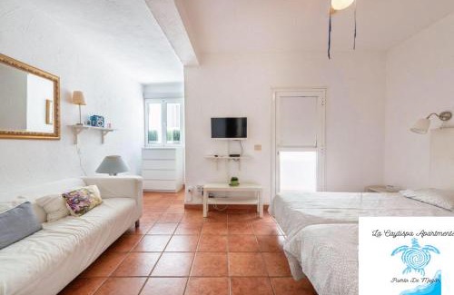 Lomo Quiebre Apartment | La Caytispa