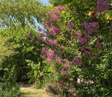 Beaulieu-sur-Loire House | La chanvrière