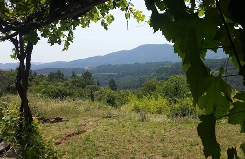 Saint-Pierre-Saint-Jean House | "La cigale et les fourmis" pretty bungalow, sleeps 2, private pool