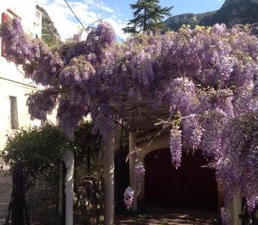 Pont du Loup House | La cigale