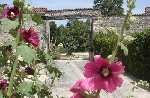Clavette House | La Collegiale