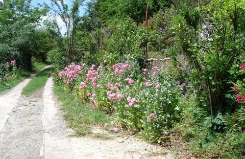 Banne Bed & Breakfast | La Colline Bleue