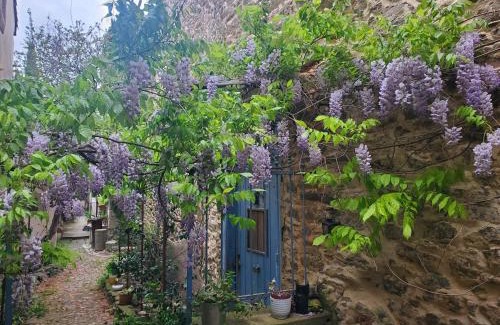 Conques-sur-Orbiel House | La Concha 1