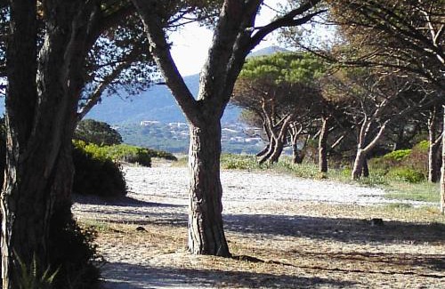 Agrustos Apartment | La Cuppulata
