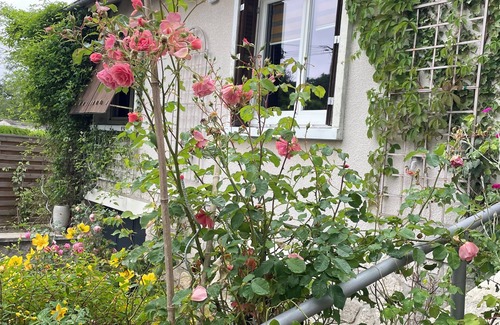 Bourron-Marlotte Bed & Breakfast | La Détente
