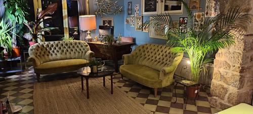 Evran House | La Demeure du Figuier