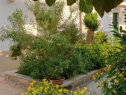 Chiaramonte Gulfi House | La Dimora del Frappato di Tenute Senia