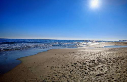 Marseillan Plage Apartment | La Dolce Vita